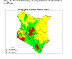 Serving knowledge ,shaping excellence